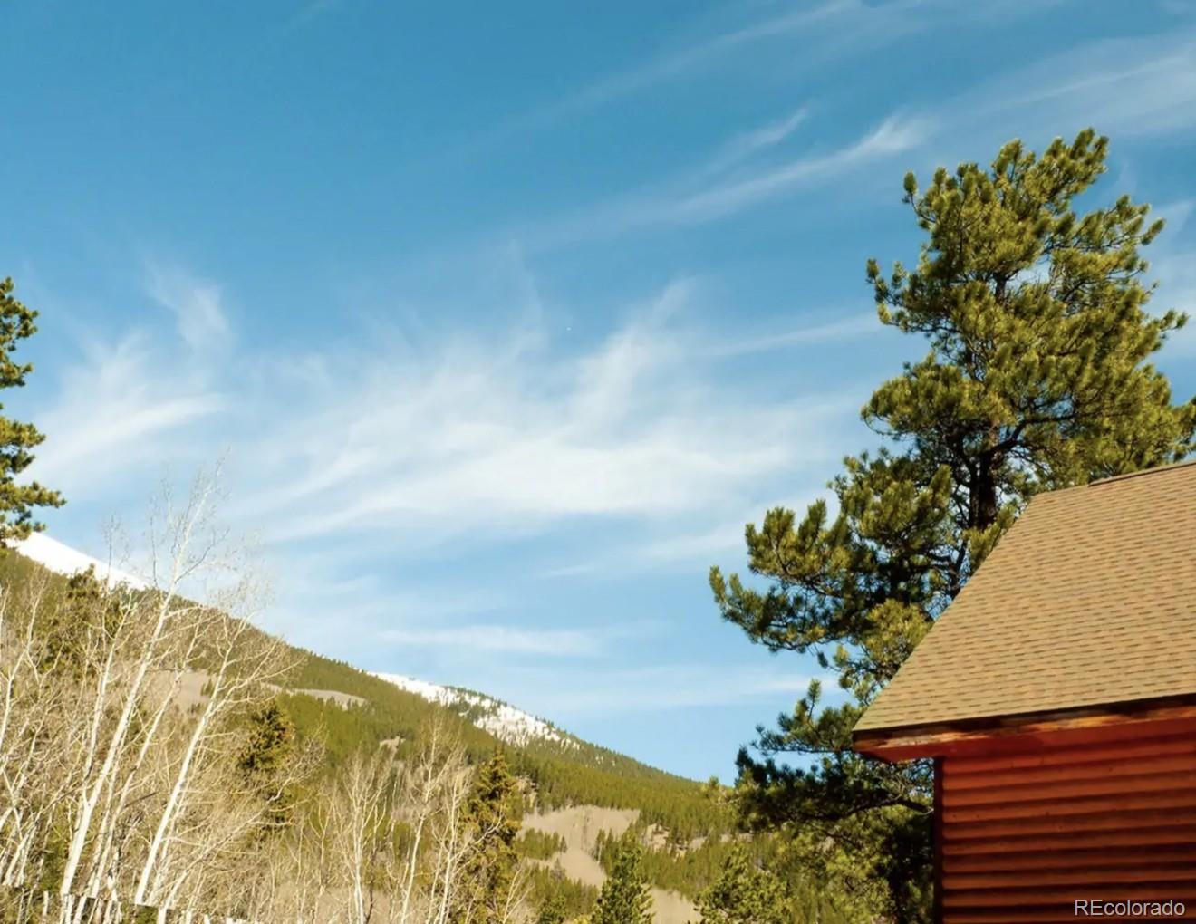 MLS Image #21 for 400  county road 26 ,twin lakes, Colorado