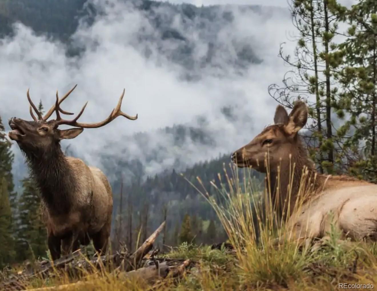 MLS Image #30 for 400  county road 26 ,twin lakes, Colorado