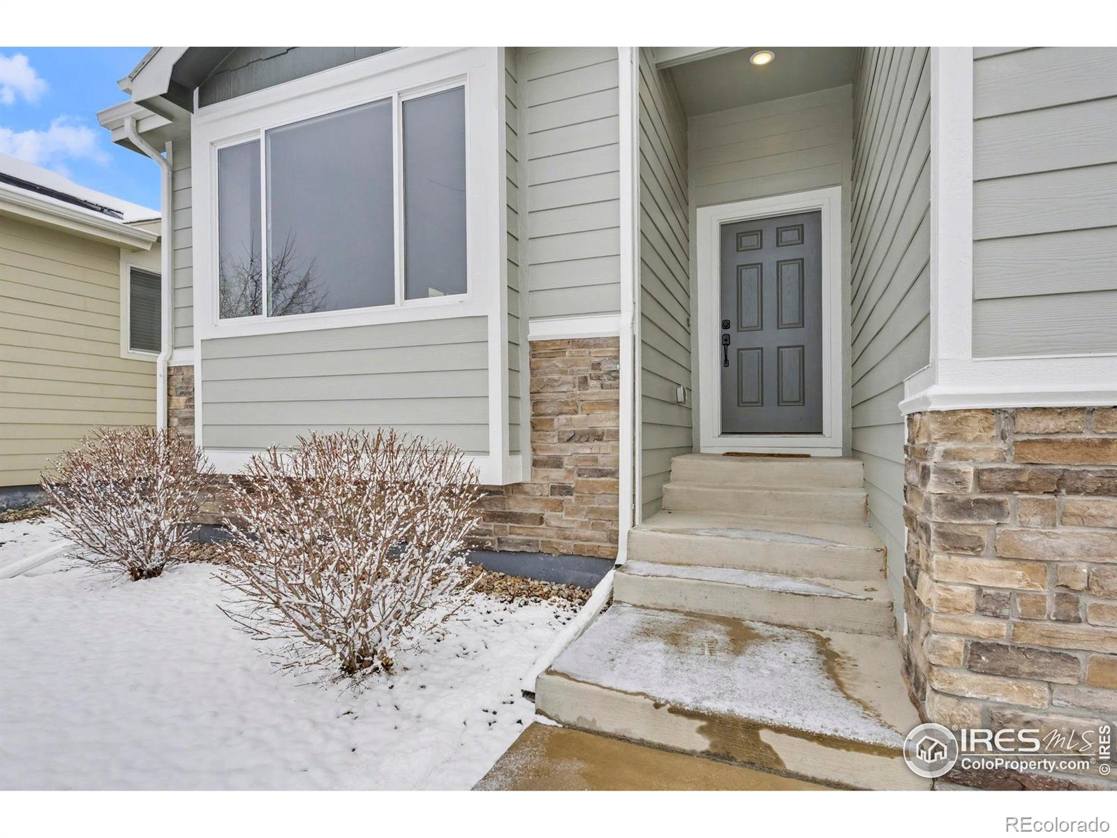 MLS Image #2 for 2125  peach blossom drive,windsor, Colorado