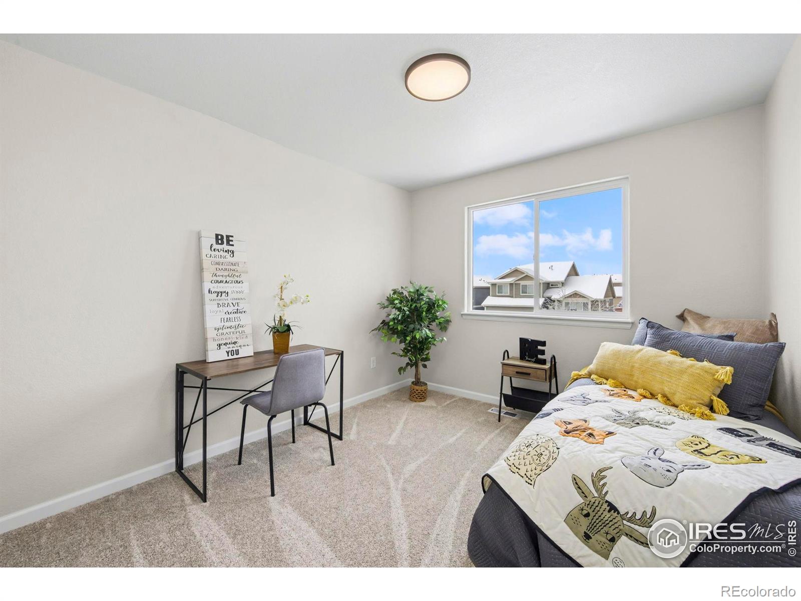 MLS Image #23 for 2125  peach blossom drive,windsor, Colorado