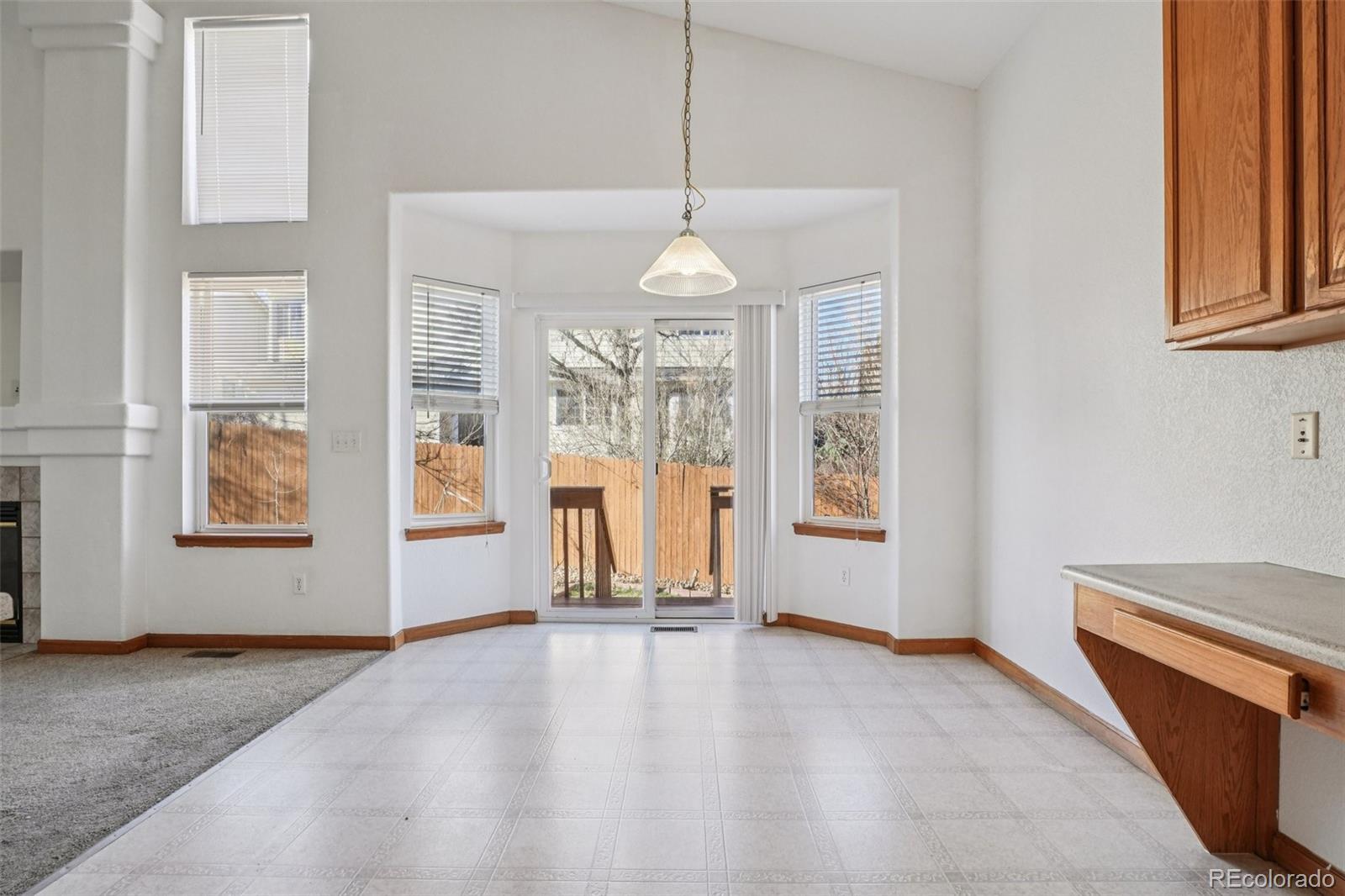 MLS Image #11 for 13743  steele court,thornton, Colorado