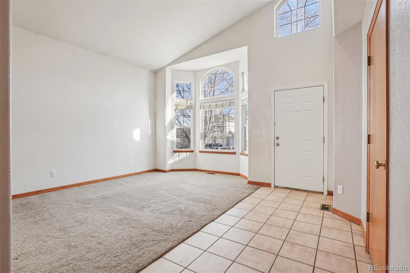 MLS Image #13 for 13743  steele court,thornton, Colorado