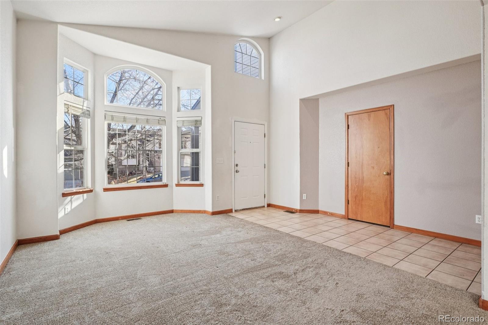 MLS Image #14 for 13743  steele court,thornton, Colorado