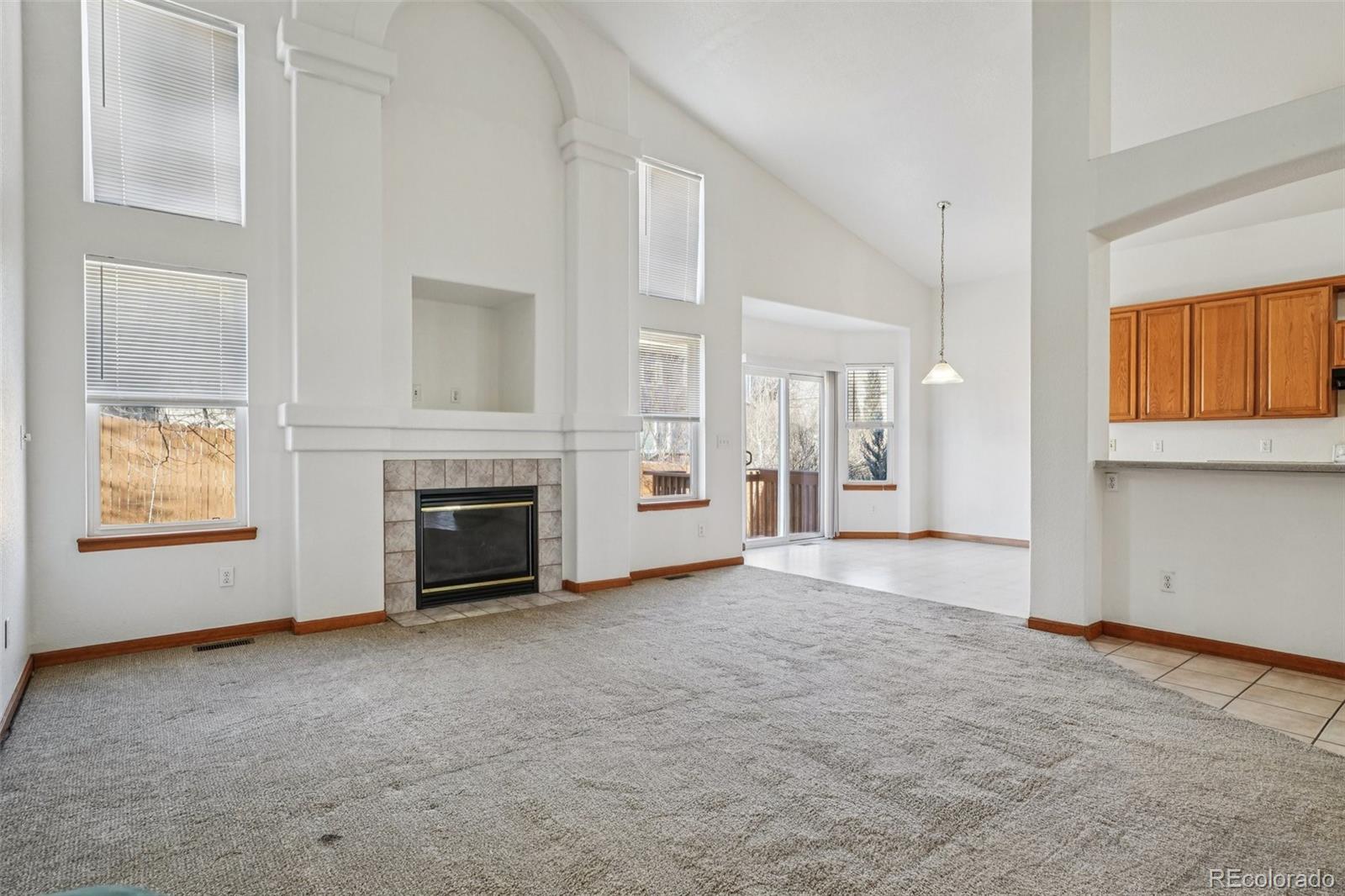 MLS Image #3 for 13743  steele court,thornton, Colorado