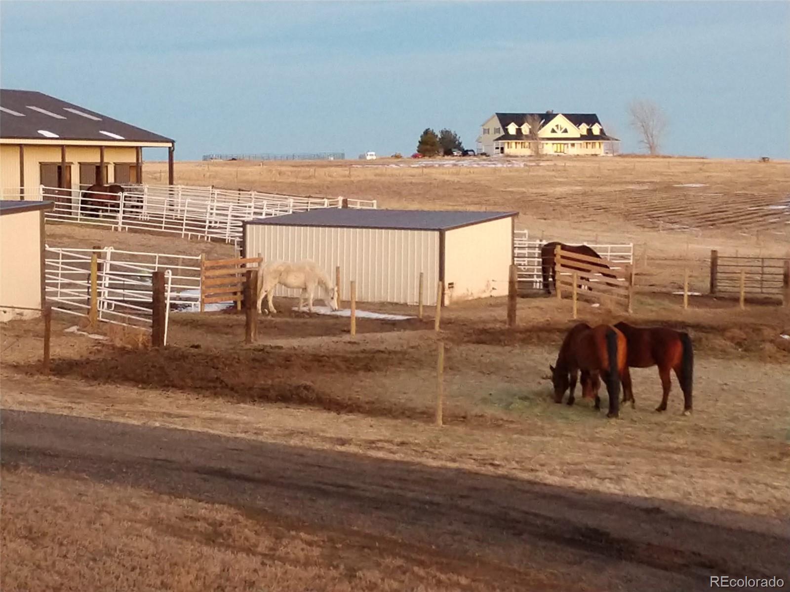 MLS Image #17 for 7600  patrick trail,elizabeth, Colorado