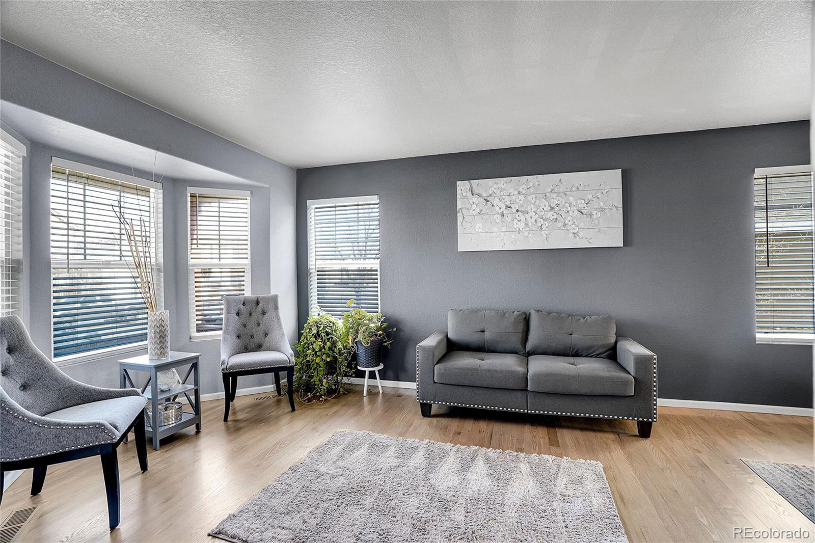MLS Image #4 for 4410  mt princeton street,brighton, Colorado