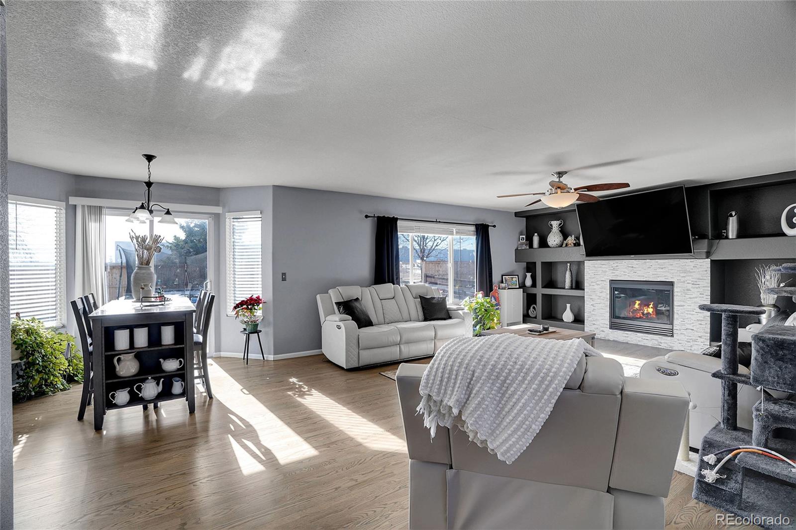 MLS Image #9 for 4410  mt princeton street,brighton, Colorado