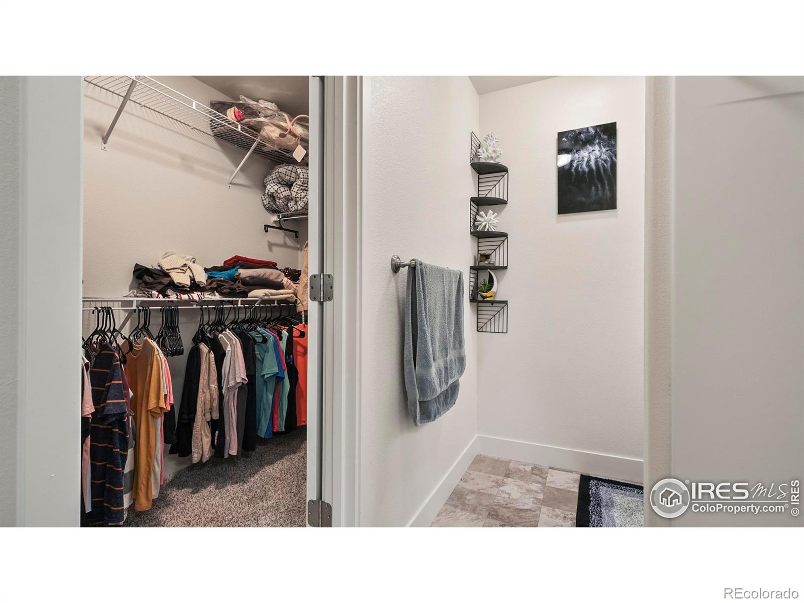 MLS Image #13 for 2304  sublime drive,windsor, Colorado