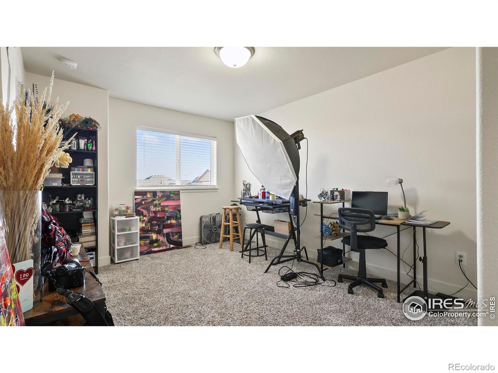 MLS Image #17 for 2304  sublime drive,windsor, Colorado