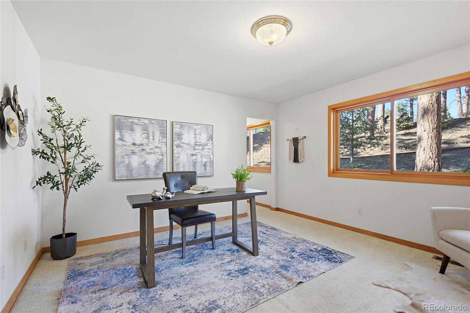 MLS Image #12 for 7030  blue creek road,evergreen, Colorado