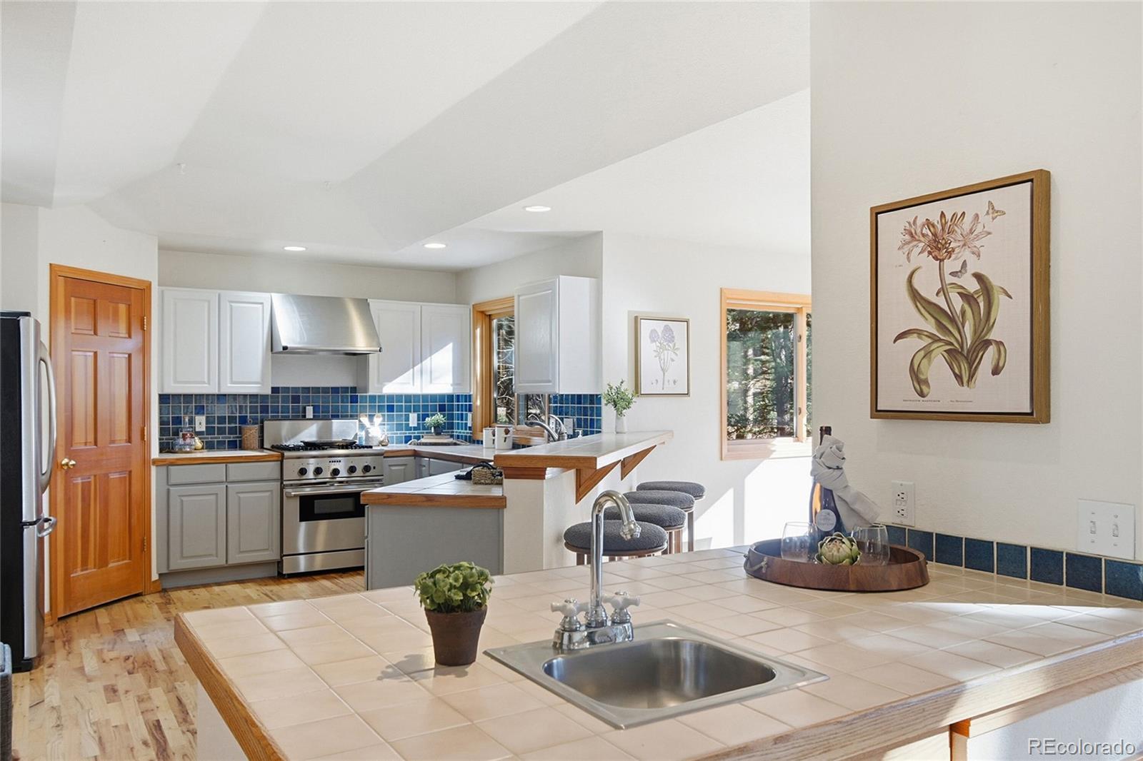 MLS Image #20 for 7030  blue creek road,evergreen, Colorado