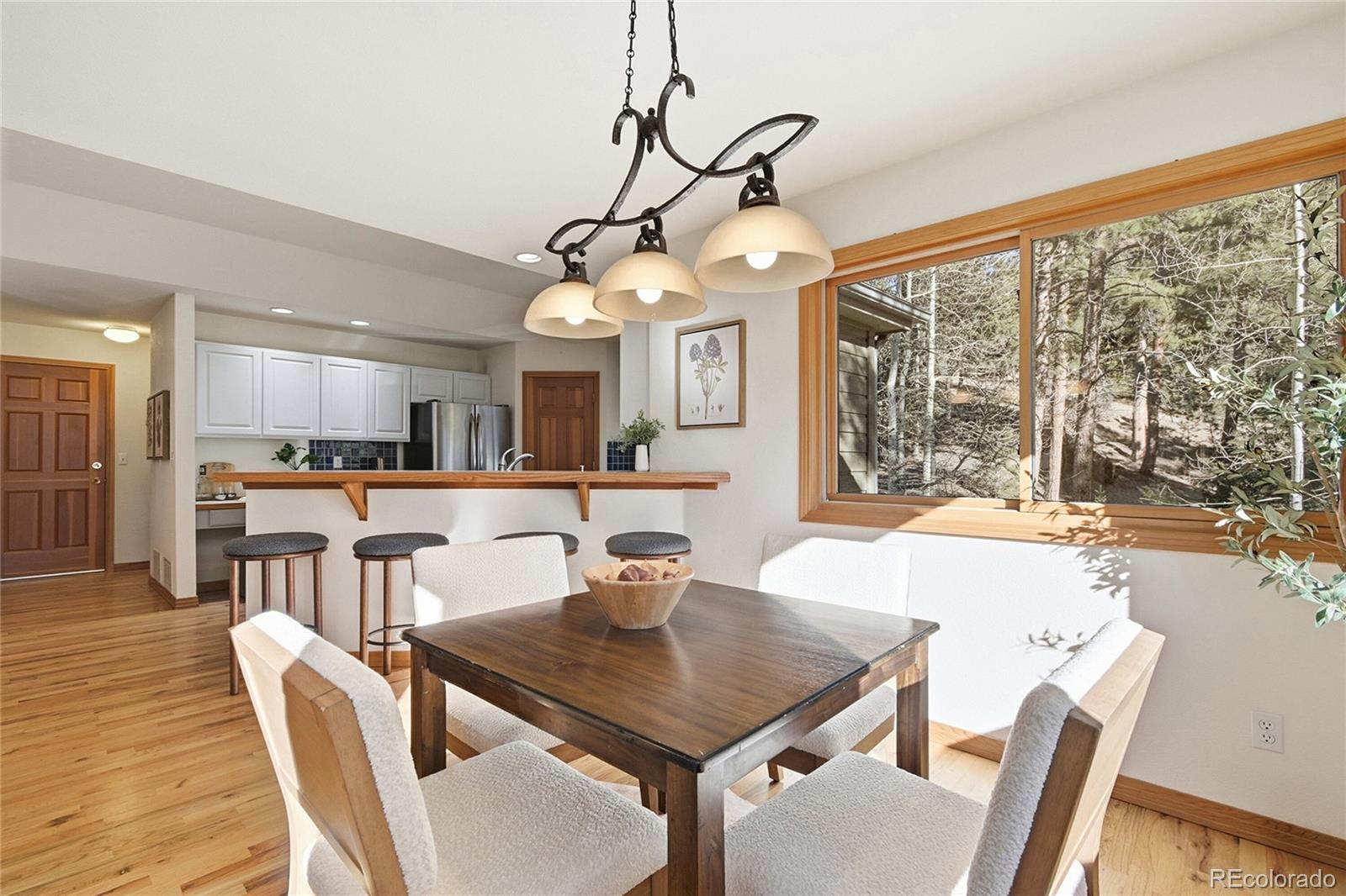 MLS Image #22 for 7030  blue creek road,evergreen, Colorado