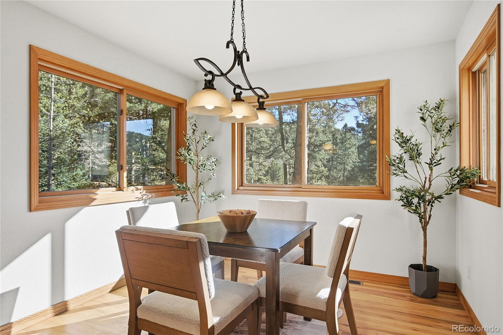MLS Image #23 for 7030  blue creek road,evergreen, Colorado