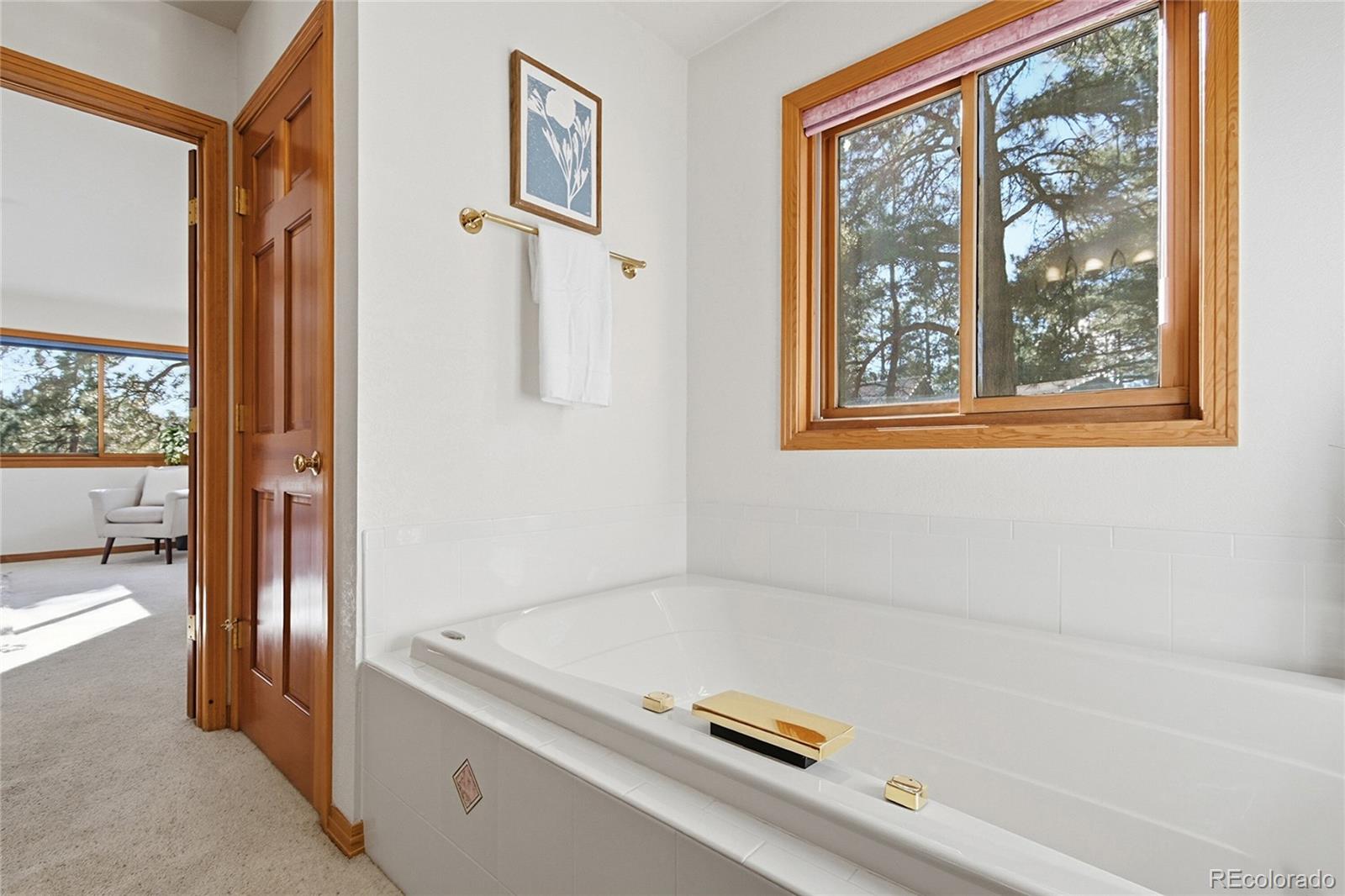 MLS Image #32 for 7030  blue creek road,evergreen, Colorado