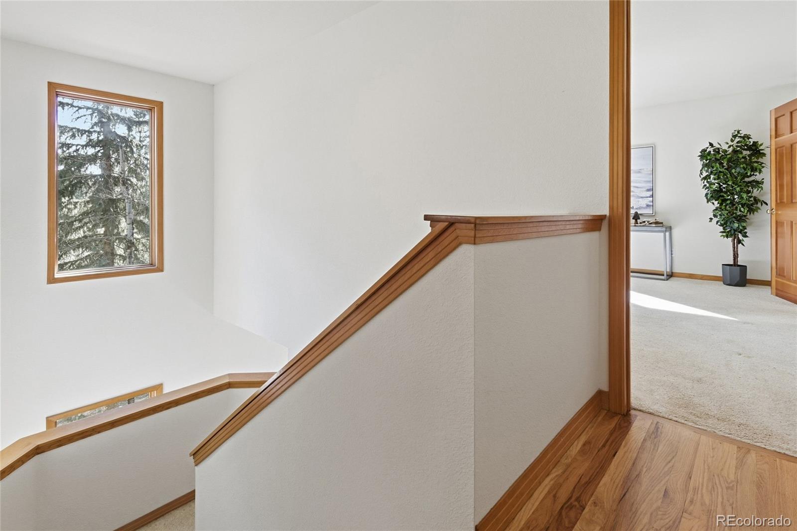MLS Image #33 for 7030  blue creek road,evergreen, Colorado
