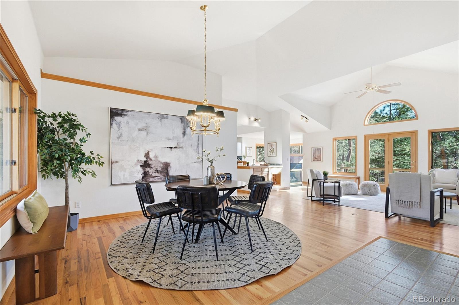 MLS Image #8 for 7030  blue creek road,evergreen, Colorado