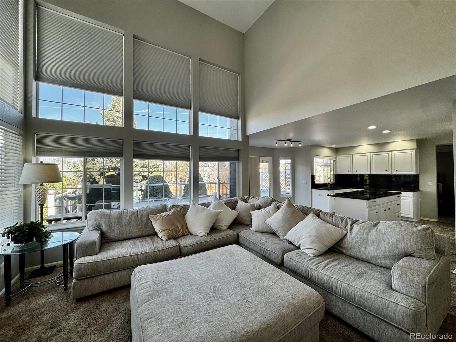 MLS Image #13 for 5151 s bahama court,centennial, Colorado