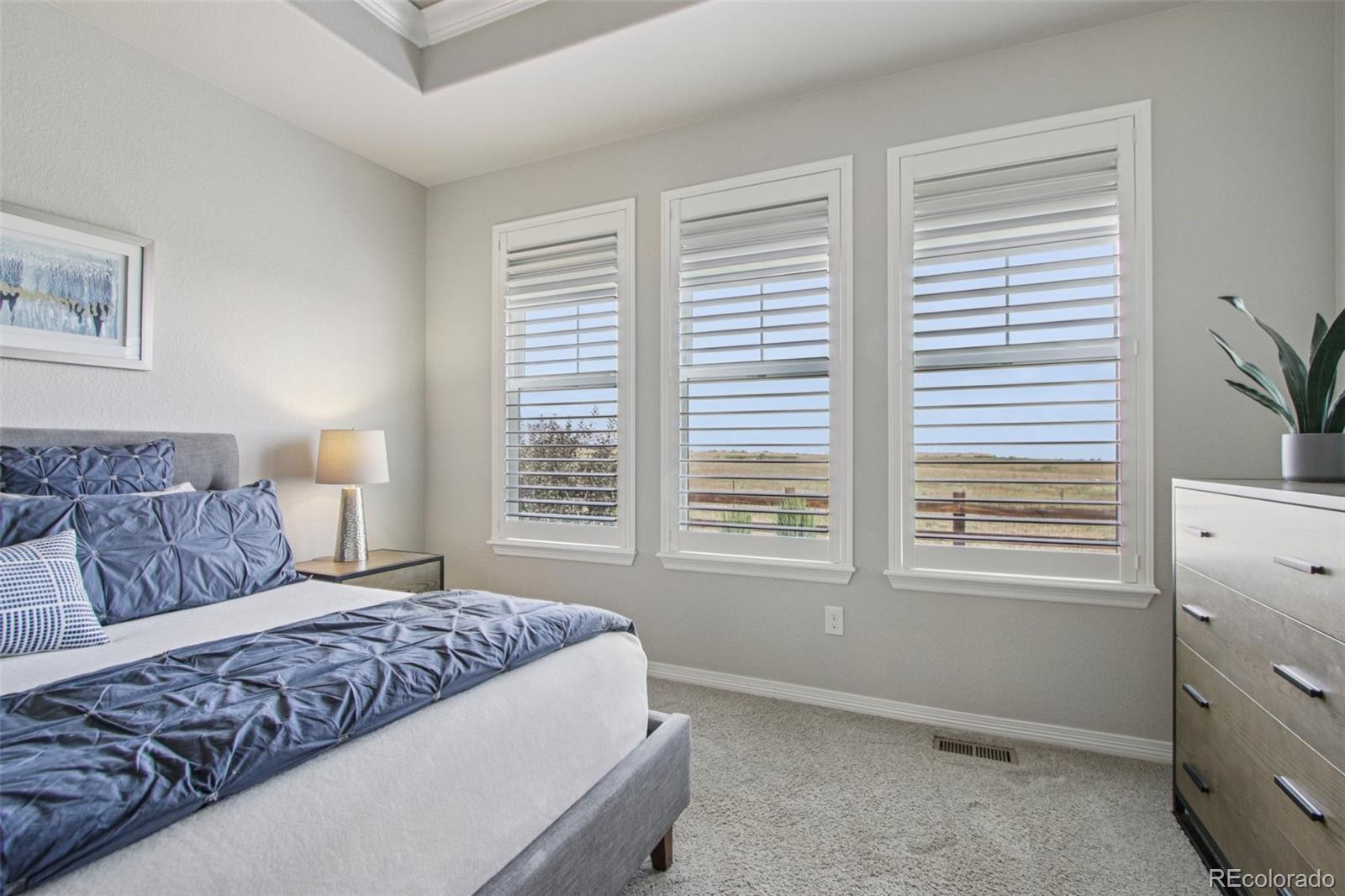 MLS Image #29 for 20001 w 95th place,arvada, Colorado