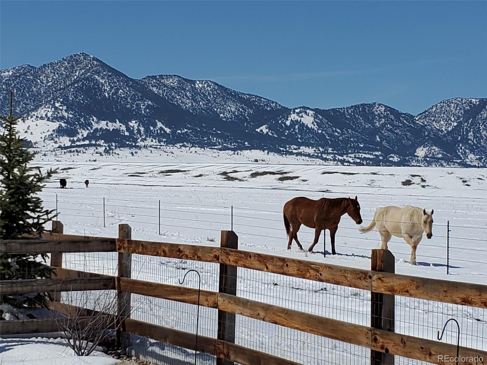 MLS Image #49 for 20001 w 95th place,arvada, Colorado
