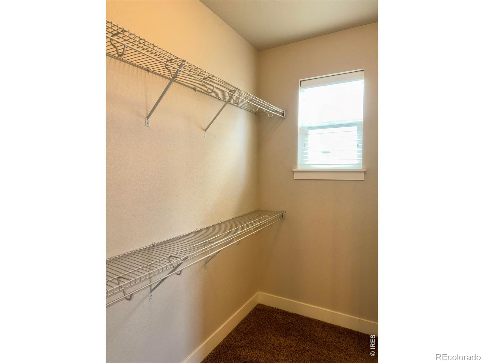 MLS Image #12 for 726  callisto drive,loveland, Colorado