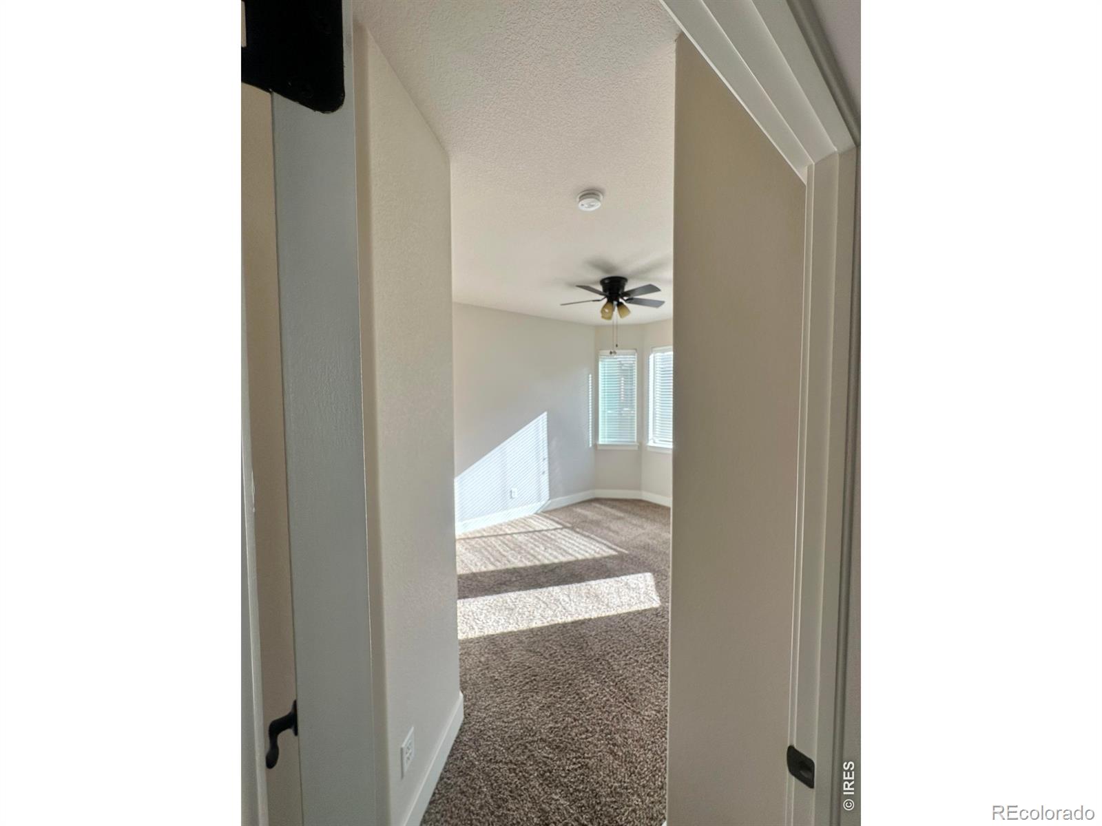 MLS Image #14 for 726  callisto drive,loveland, Colorado