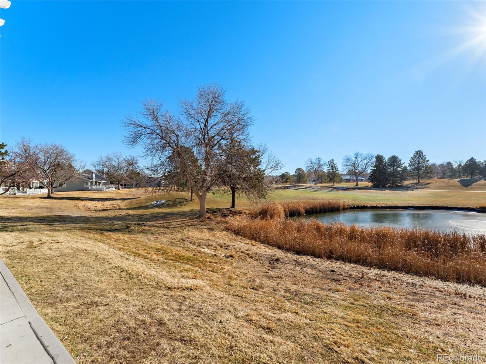 MLS Image #41 for 30  canongate lane,highlands ranch, Colorado