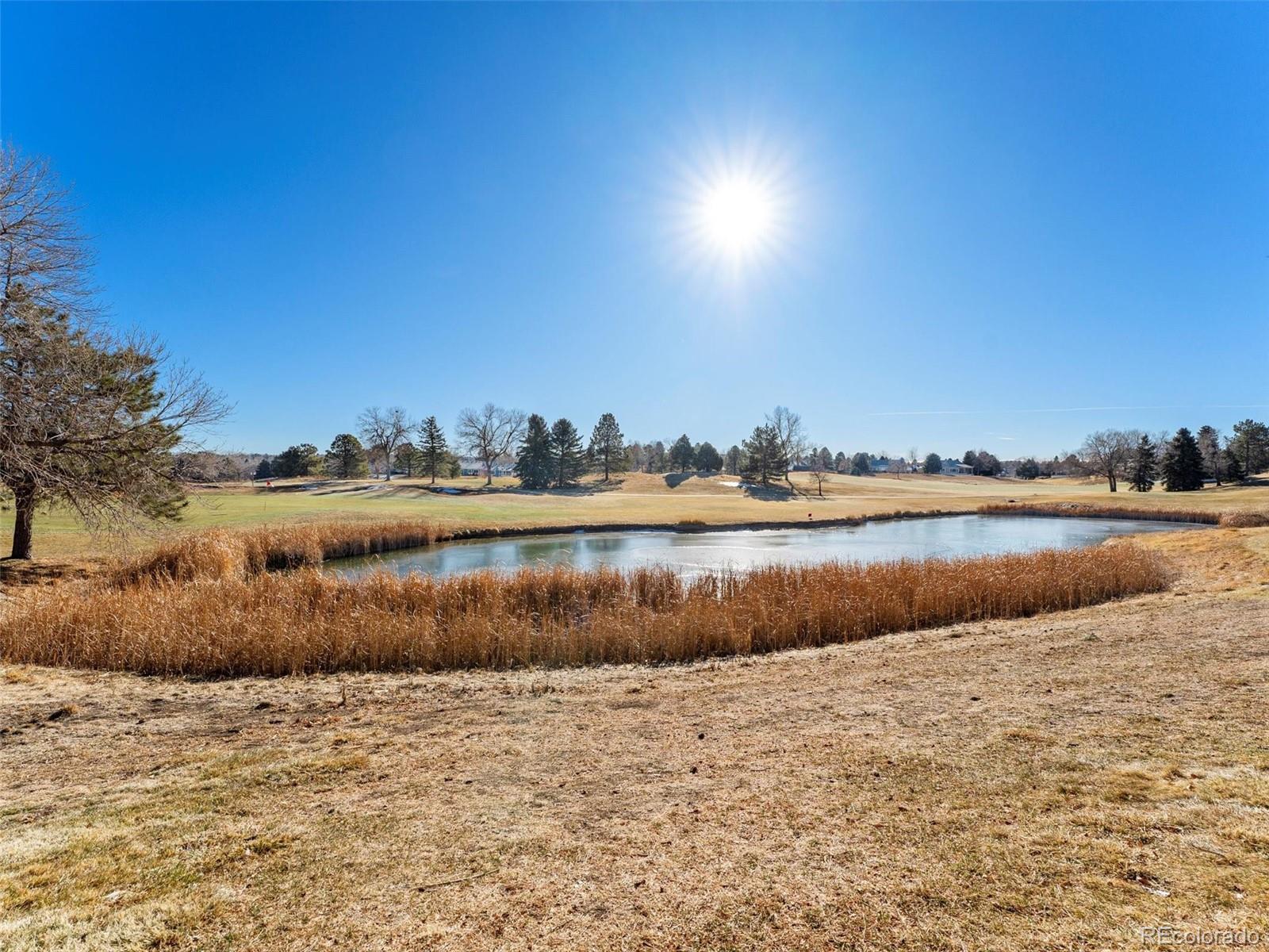 MLS Image #42 for 30  canongate lane,highlands ranch, Colorado