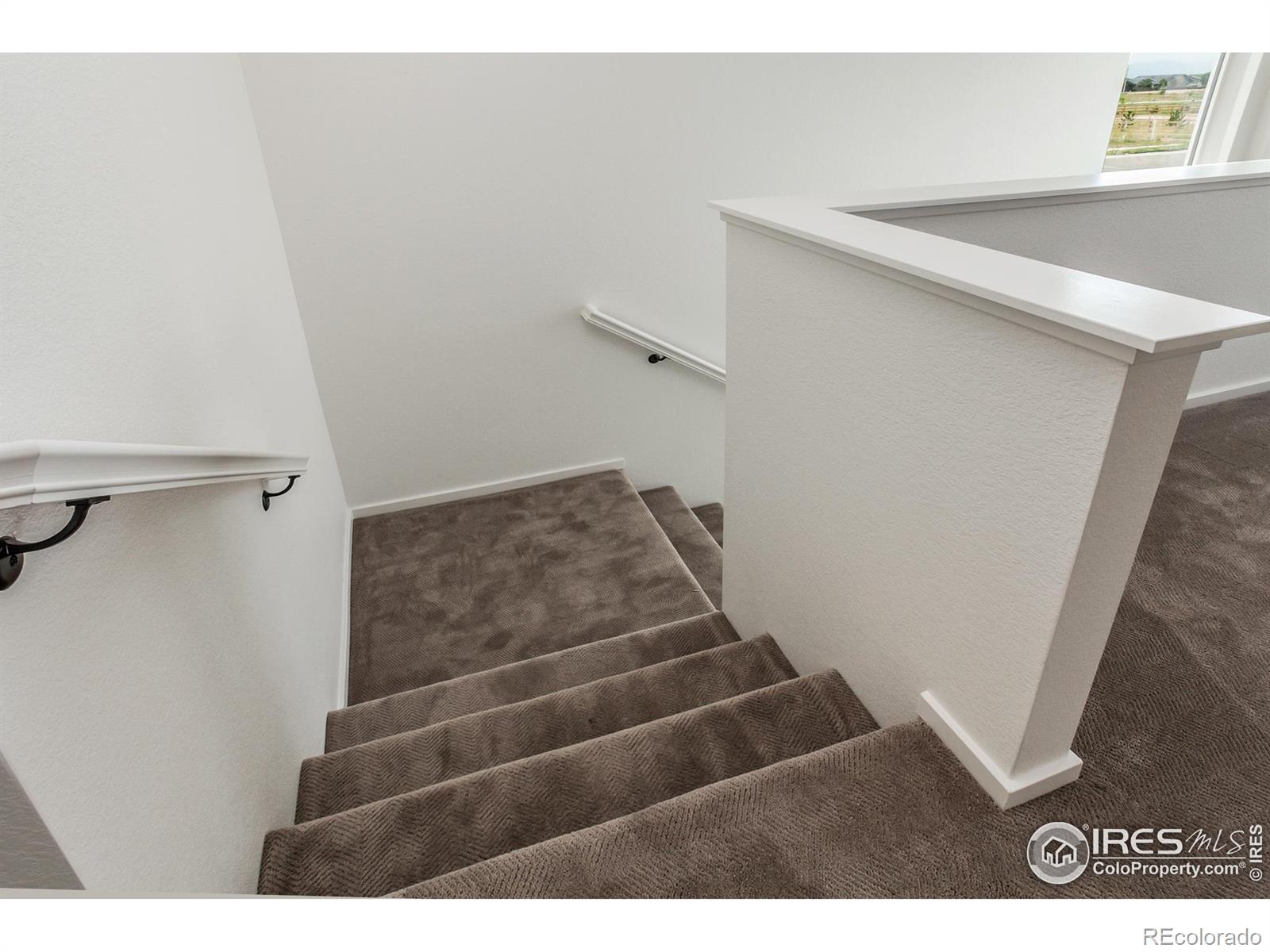 MLS Image #17 for 6126  red barn road,timnath, Colorado