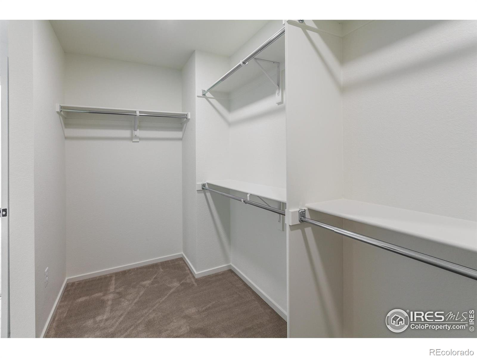 MLS Image #24 for 6126  red barn road,timnath, Colorado