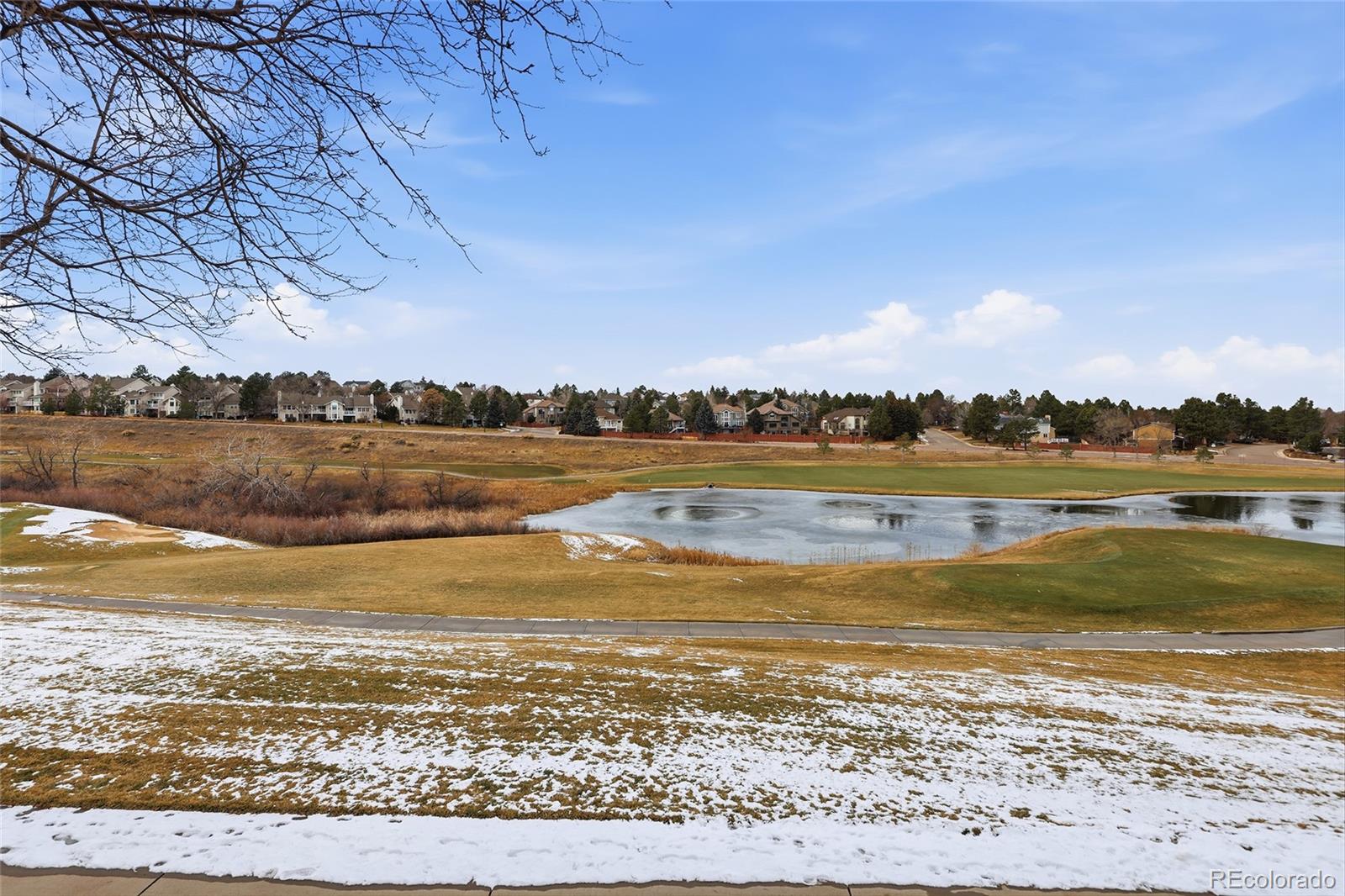 MLS Image #39 for 8666  ainsdale court,lone tree, Colorado