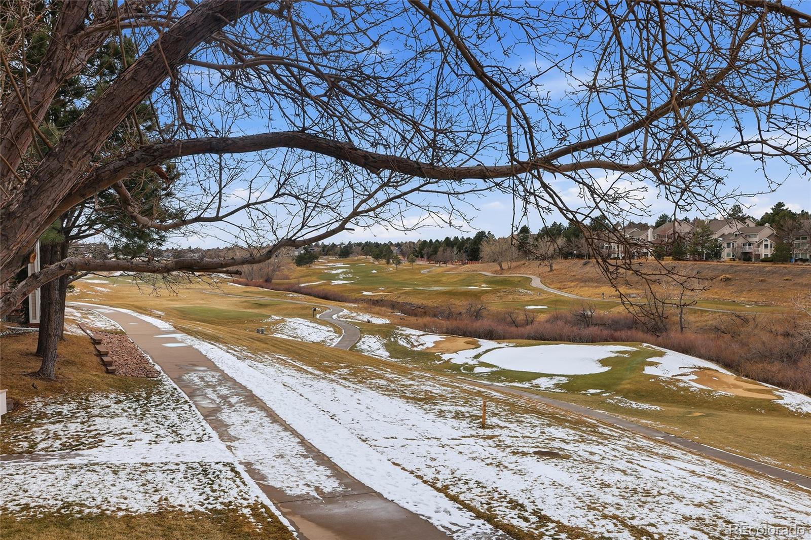 MLS Image #40 for 8666  ainsdale court,lone tree, Colorado