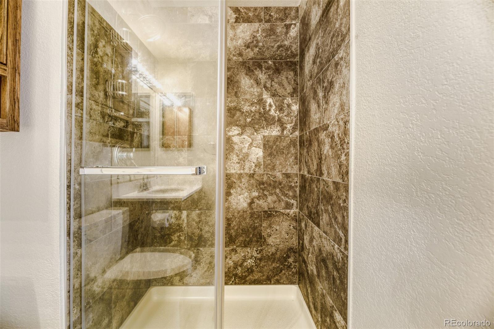 MLS Image #10 for 22082  day star drive,parker, Colorado