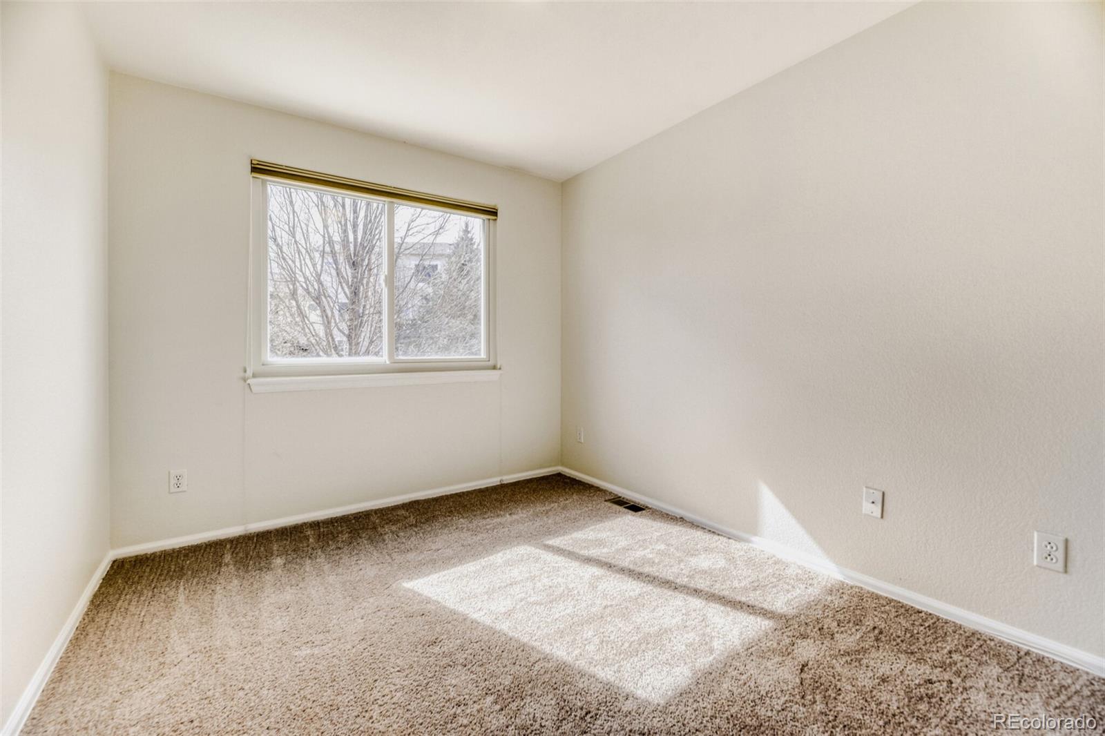 MLS Image #12 for 22082  day star drive,parker, Colorado