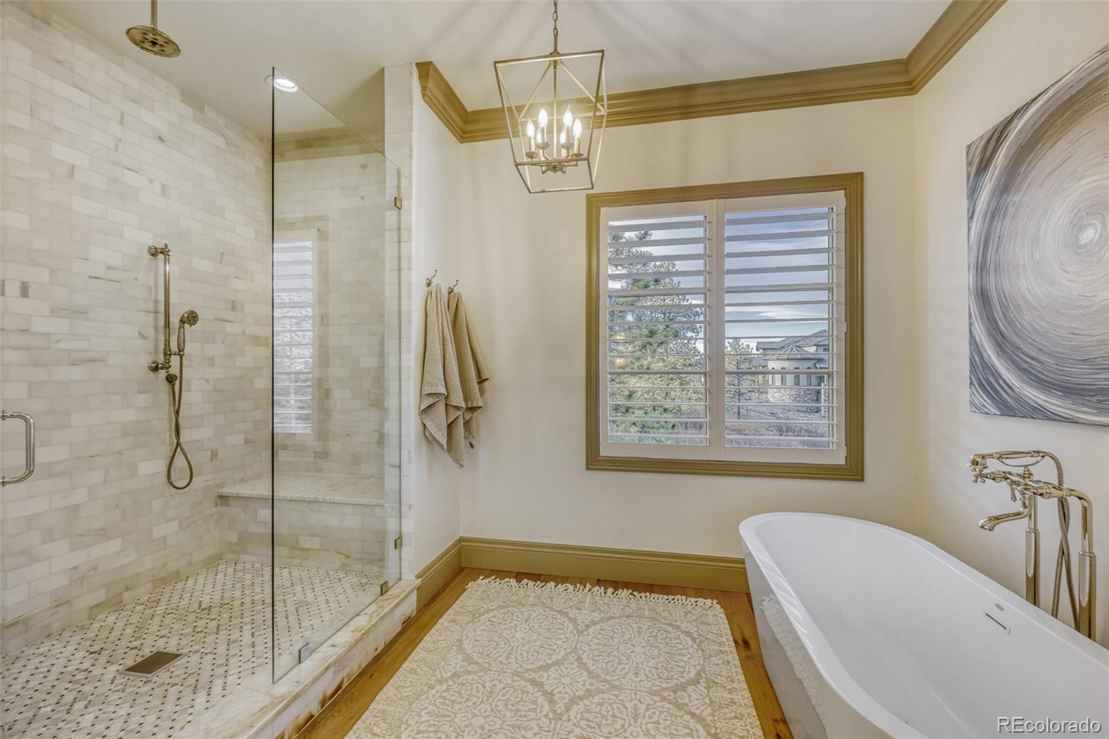 MLS Image #17 for 2163  sierra verde court,castle rock, Colorado