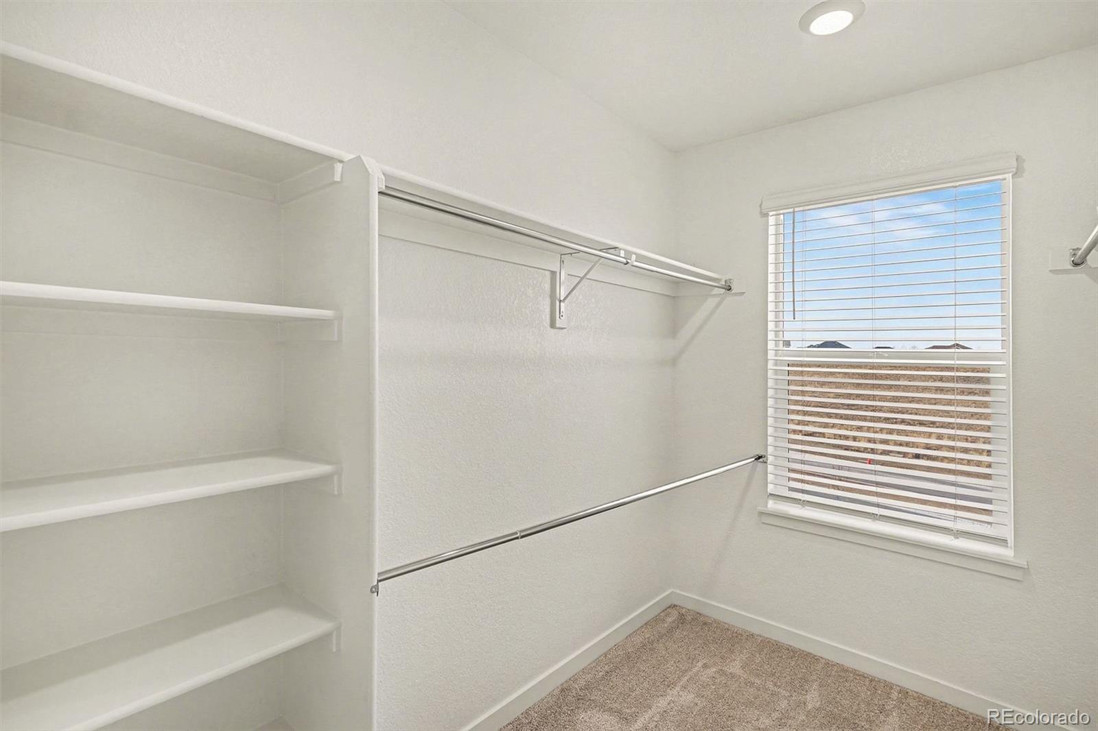 MLS Image #26 for 18197  prince hill circle,parker, Colorado