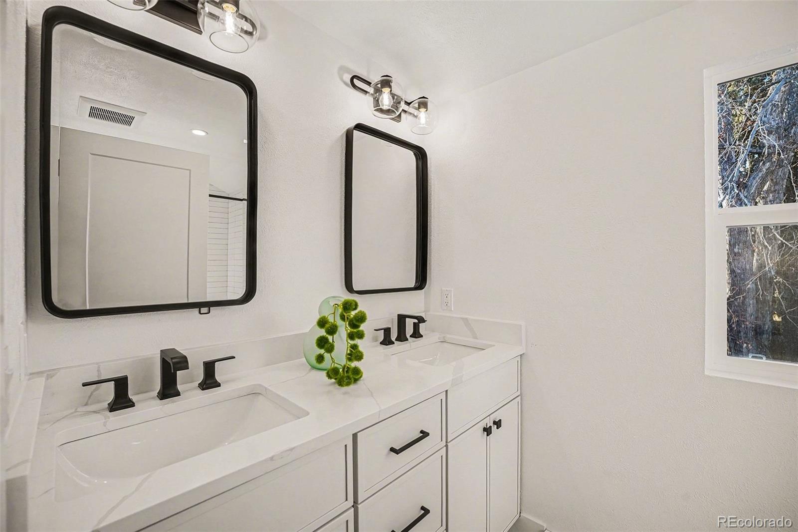 MLS Image #10 for 3825 s peach way,denver, Colorado