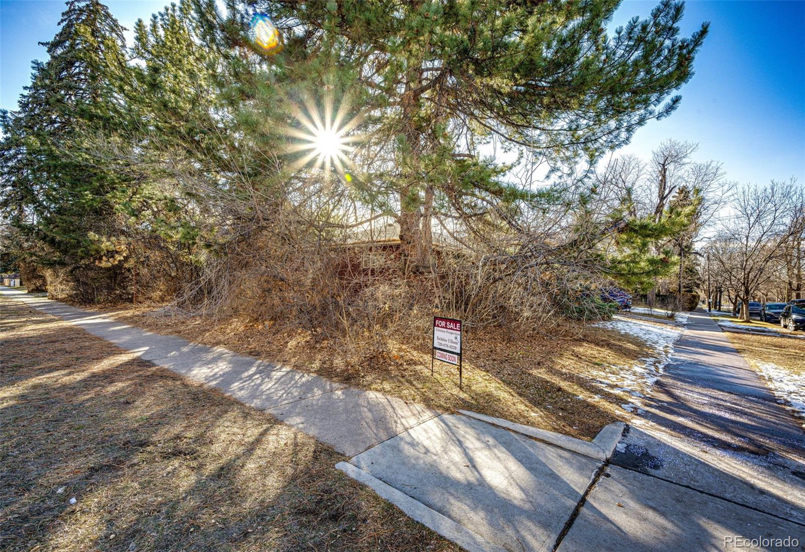 MLS Image #25 for 2301 s saint paul street,denver, Colorado