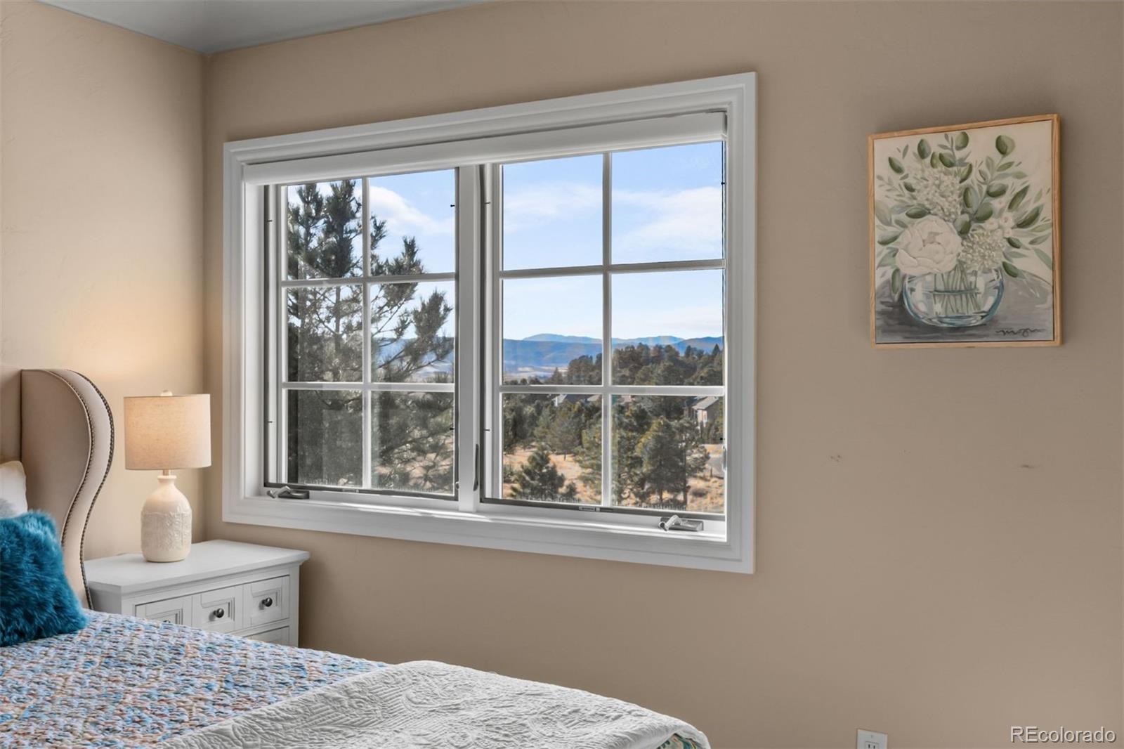 MLS Image #42 for 5270  red pass lane,castle rock, Colorado