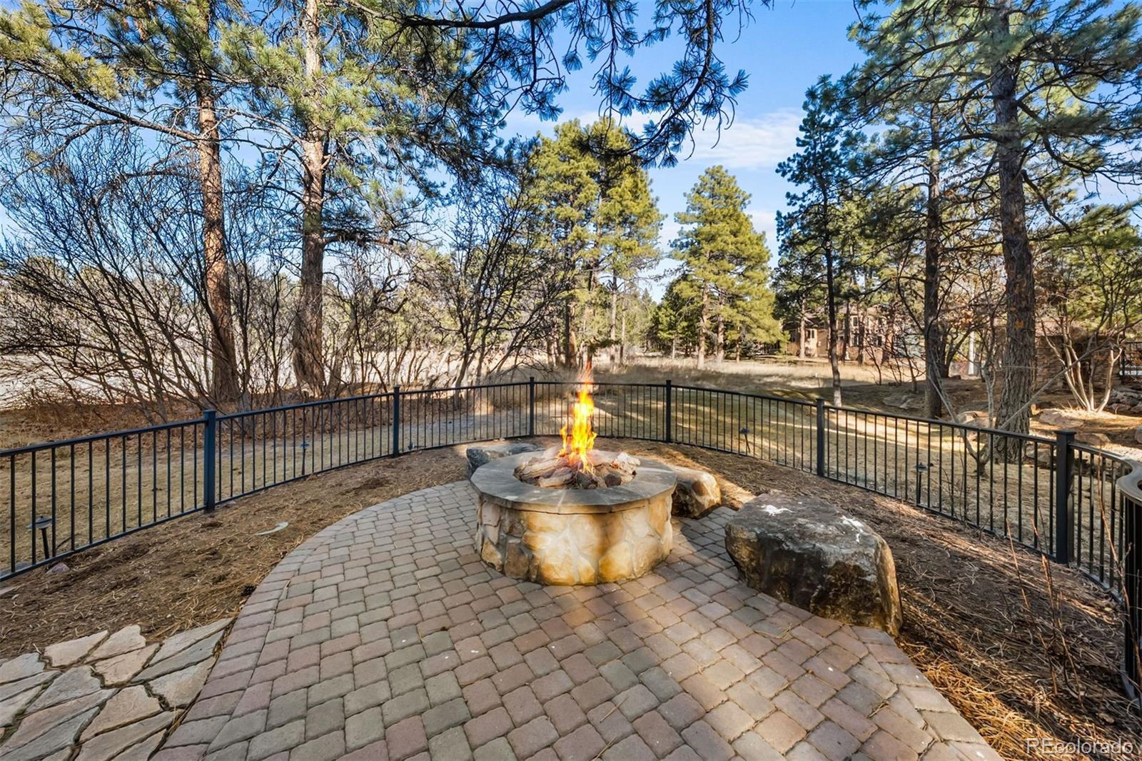 MLS Image #47 for 5270  red pass lane,castle rock, Colorado