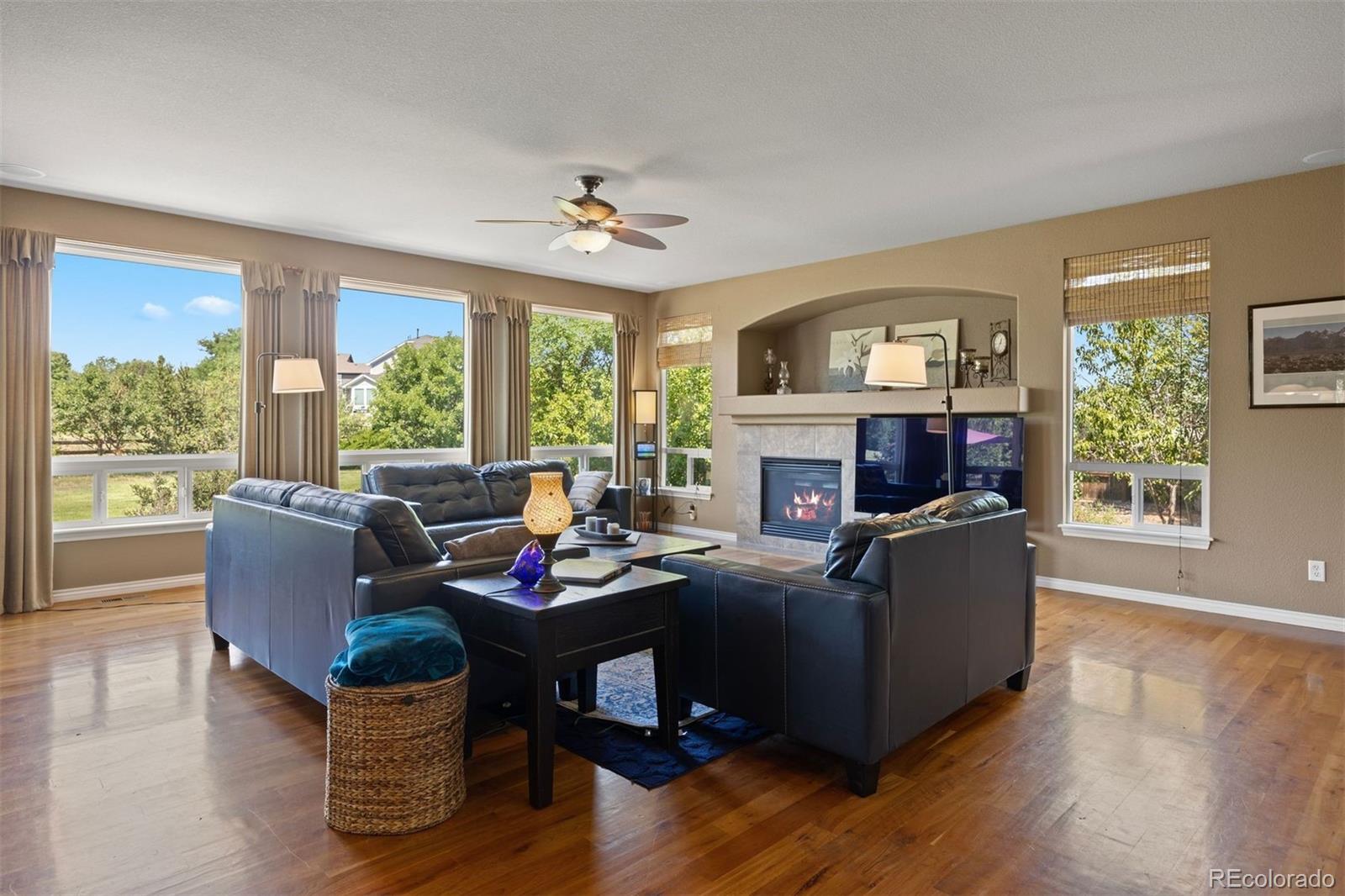 MLS Image #3 for 1021  neptunite place,castle rock, Colorado