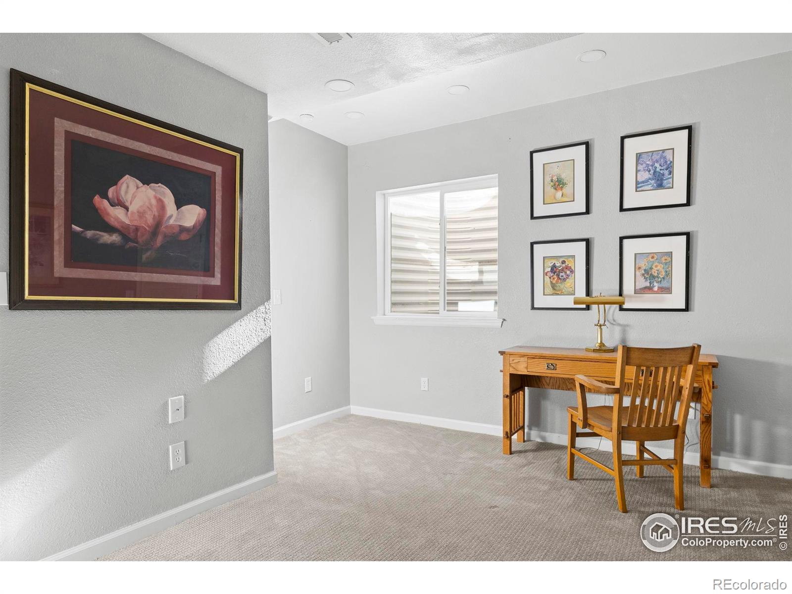MLS Image #25 for 2016  80th ave ct,greeley, Colorado