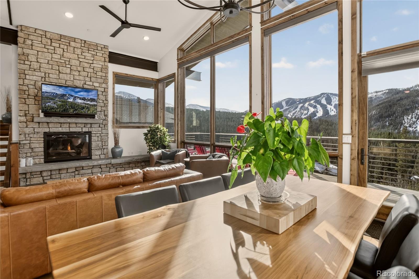MLS Image #12 for 313 n woods place,winter park, Colorado