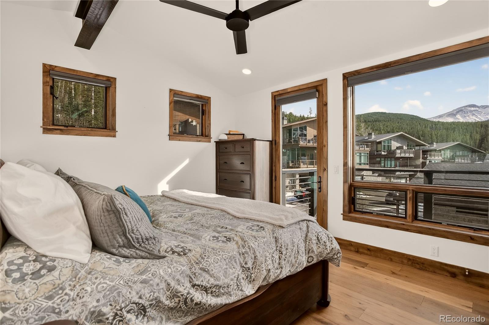MLS Image #20 for 313 n woods place,winter park, Colorado