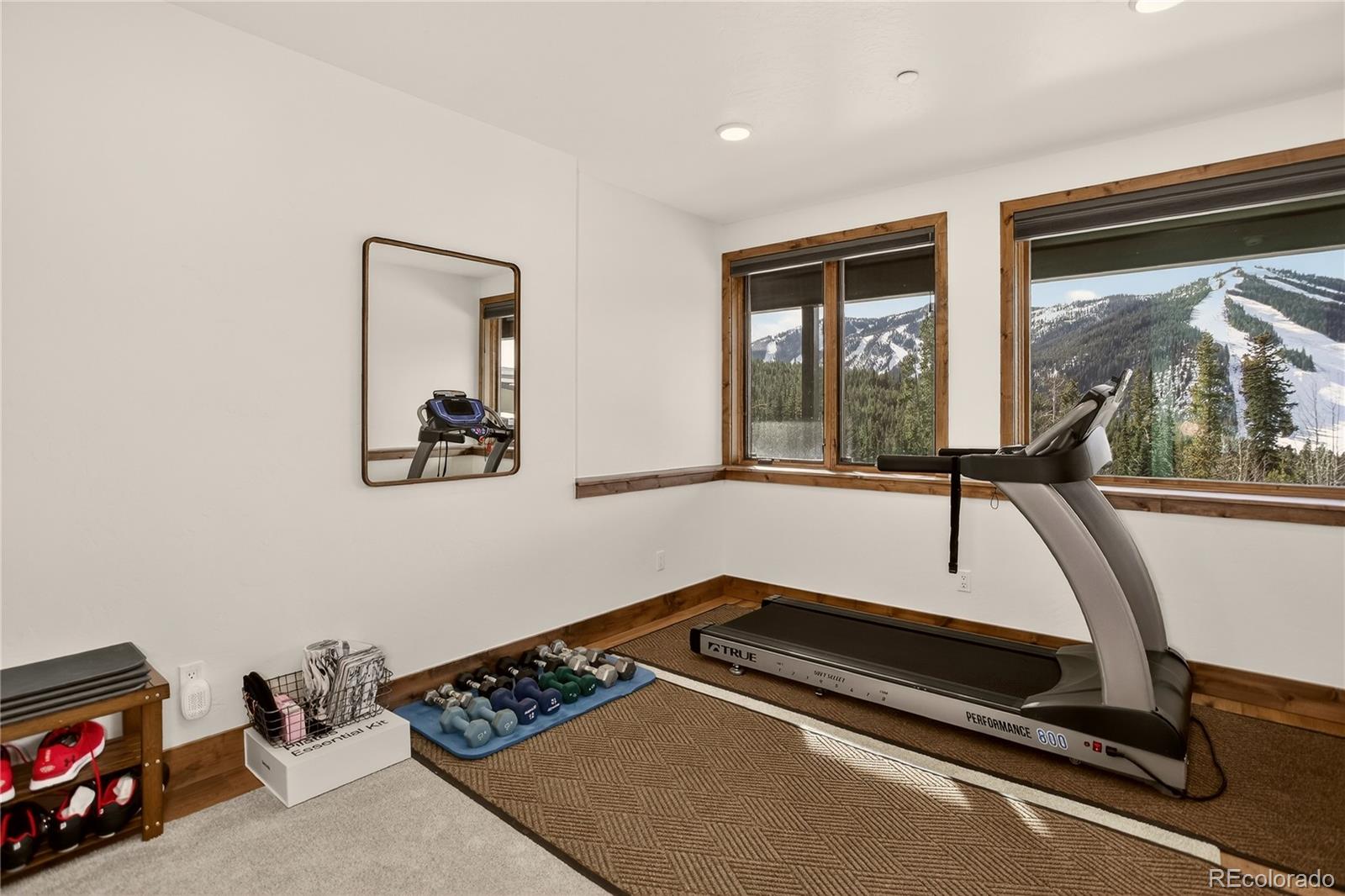 MLS Image #37 for 313 n woods place,winter park, Colorado