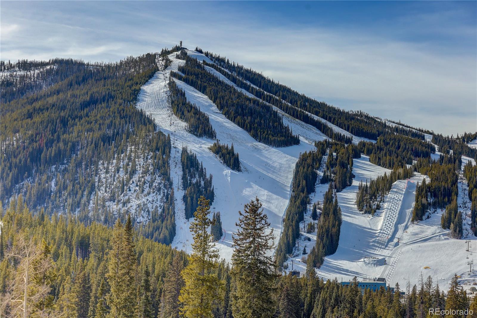 MLS Image #47 for 313 n woods place,winter park, Colorado