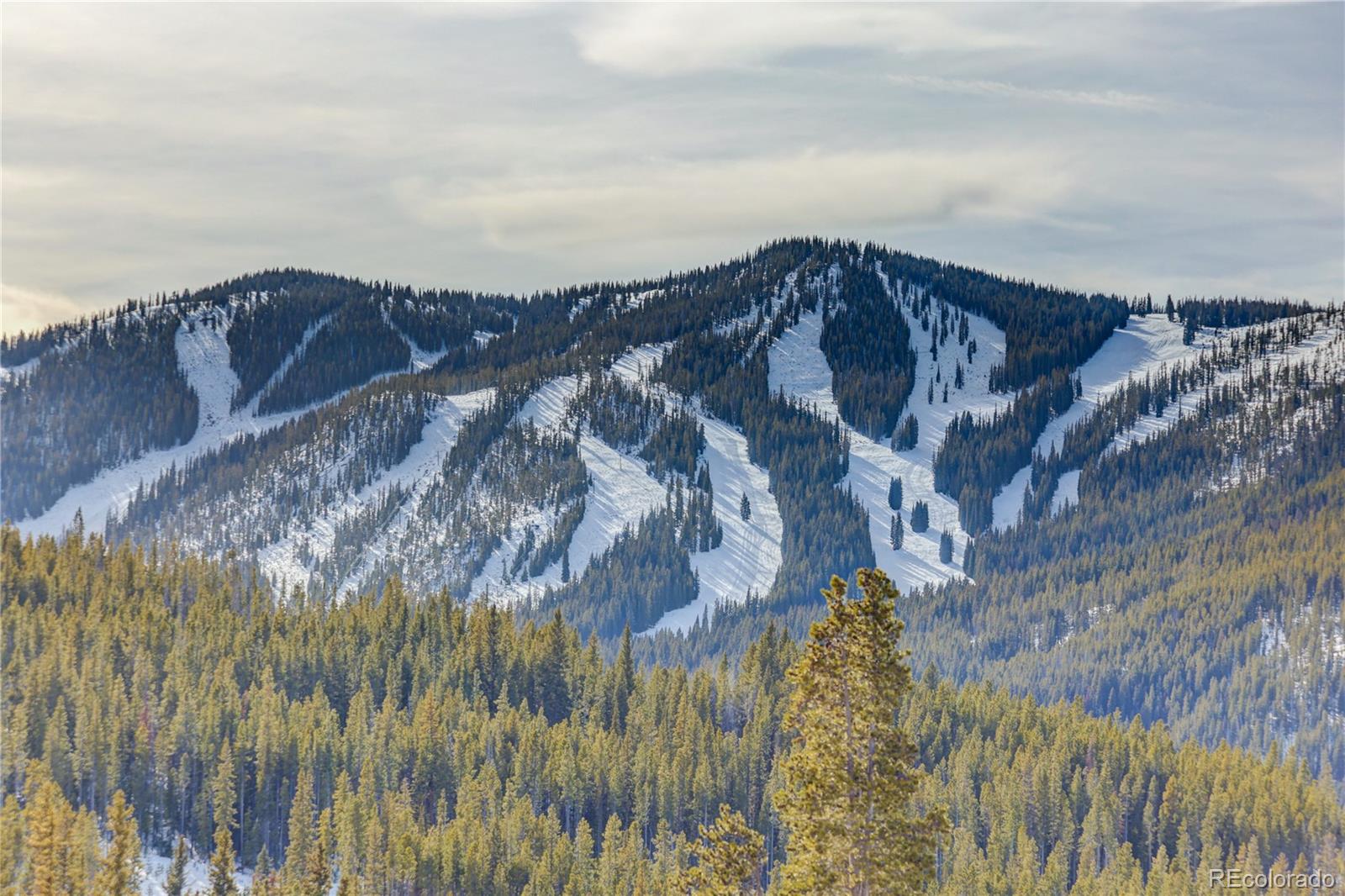 MLS Image #48 for 313 n woods place,winter park, Colorado