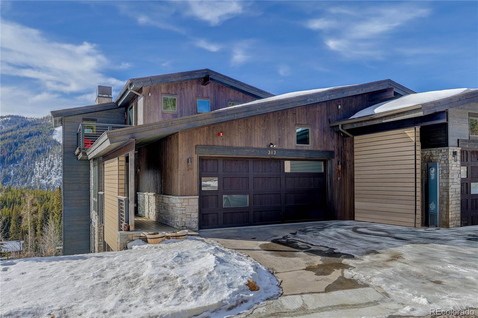 MLS Image #6 for 313 n woods place,winter park, Colorado