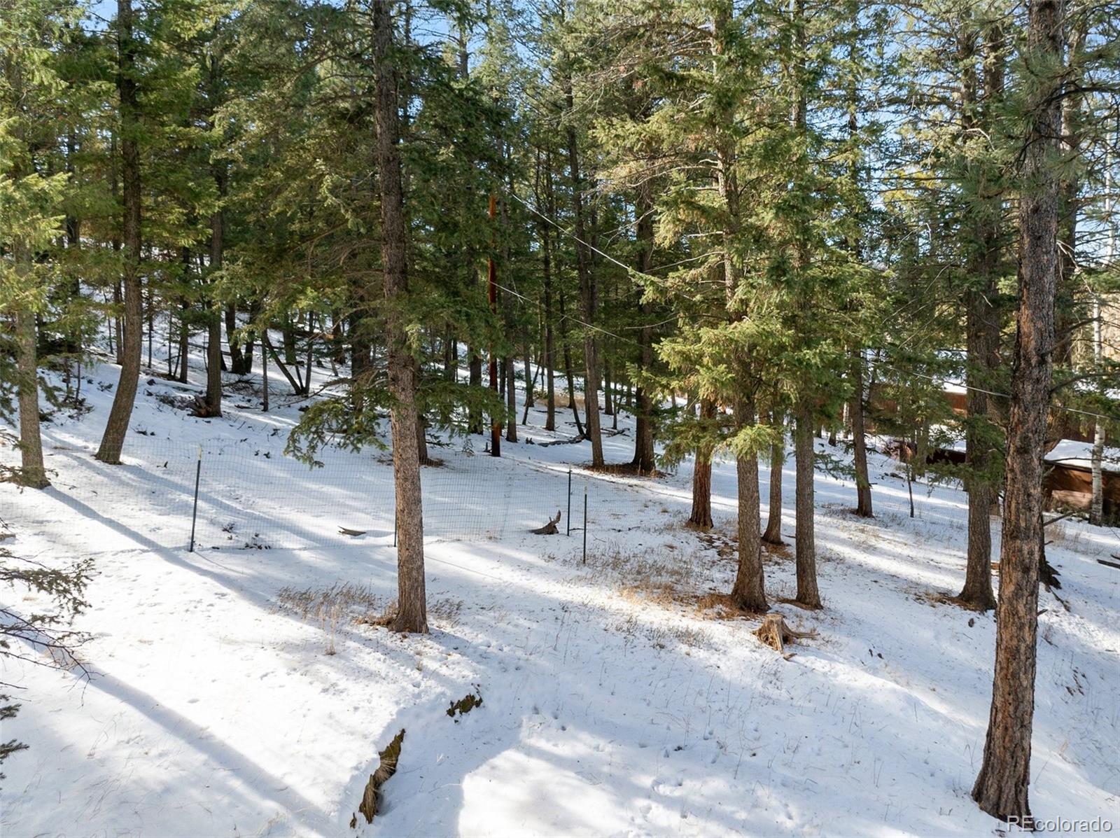 MLS Image #12 for 2619  sunnywood avenue,woodland park, Colorado