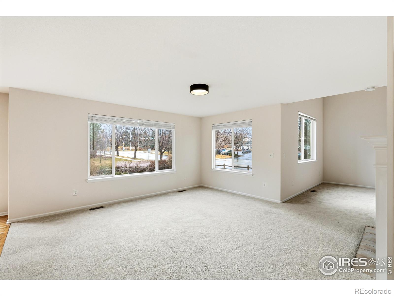 MLS Image #12 for 1503  prairie hawk drive,longmont, Colorado