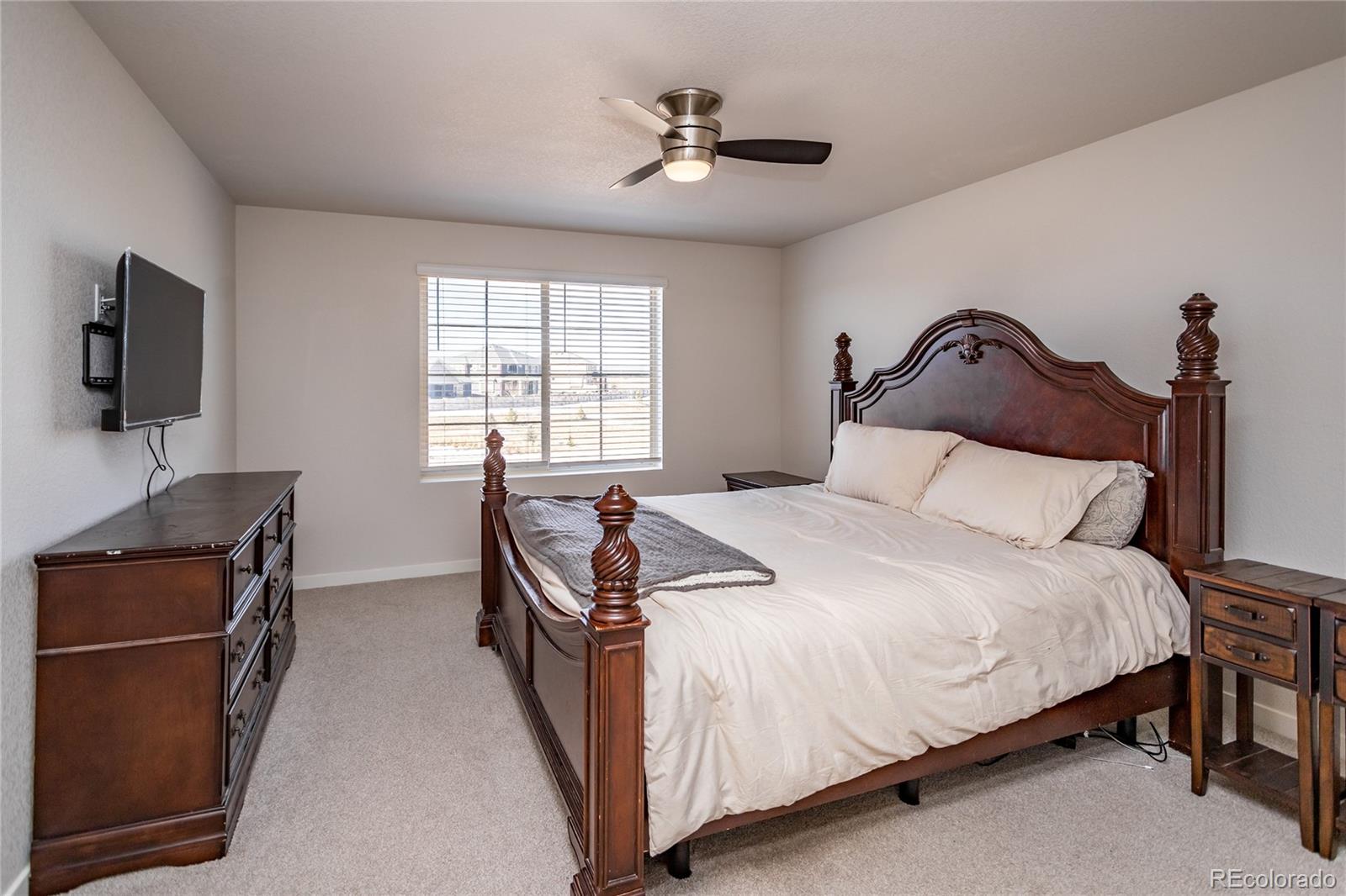 MLS Image #18 for 9534  feathergrass drive,colorado springs, Colorado